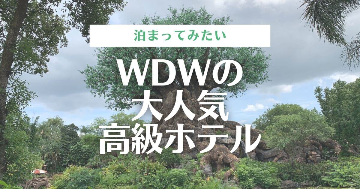 Wdw公式 最高級リゾートホテル アニマルキングダムロッジ宿泊レビュー つきらいふ