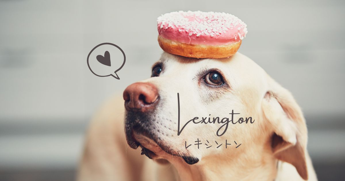 おすすめ３選 ケンタッキー州レキシントンのおいしいドーナツ屋さん つきらいふ In The Usa